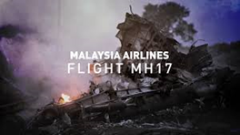 MH17-2.jpg